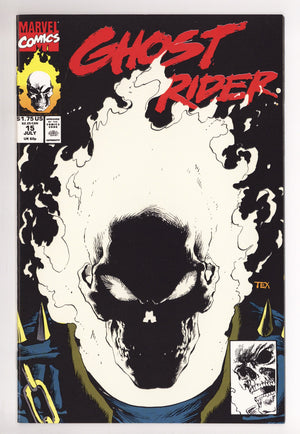Ghost Rider Vol 2 15 High Grade (1991)