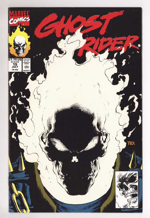 Ghost Rider Vol 2 15 High Grade (1991)