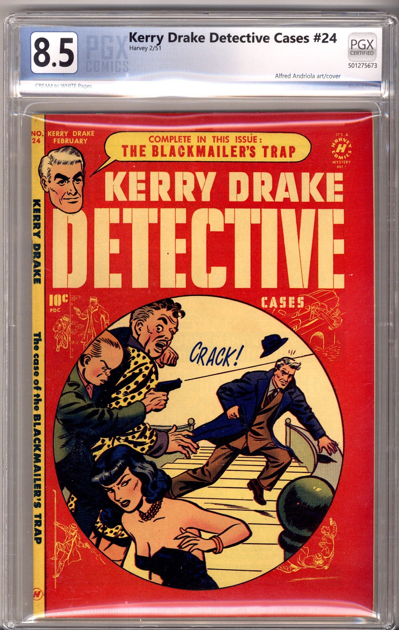 Kerry Drake Detective Cases 24 PGX 8.5
