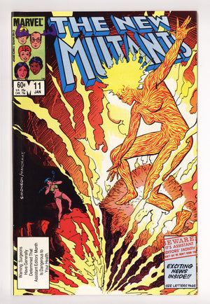 The New Teen Titans Vol 1 12 High Grade (1981)