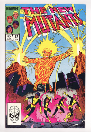 The New Teen Titans Vol 1 13 High Grade (1981)