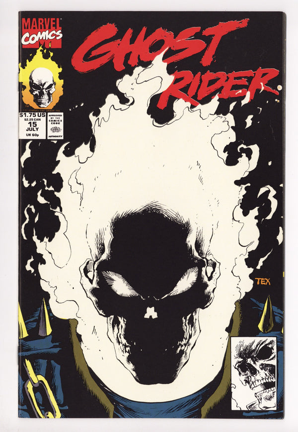 Ghost Rider Vol 2 15 High Grade (1991)
