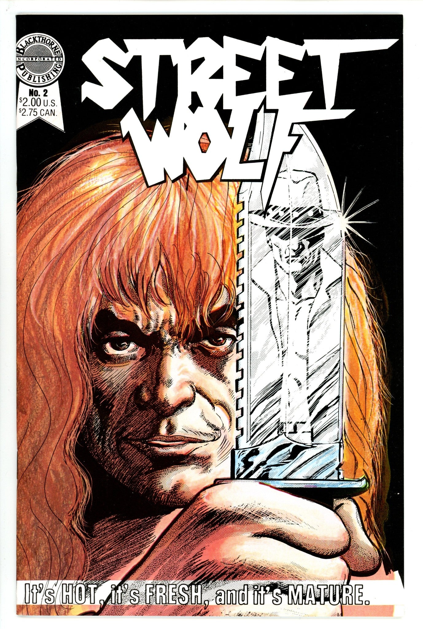 Street Wolf 2 (1986)