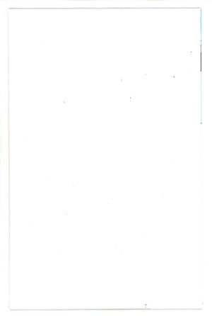 Justice Ducks 1 Blank Variant (2024)