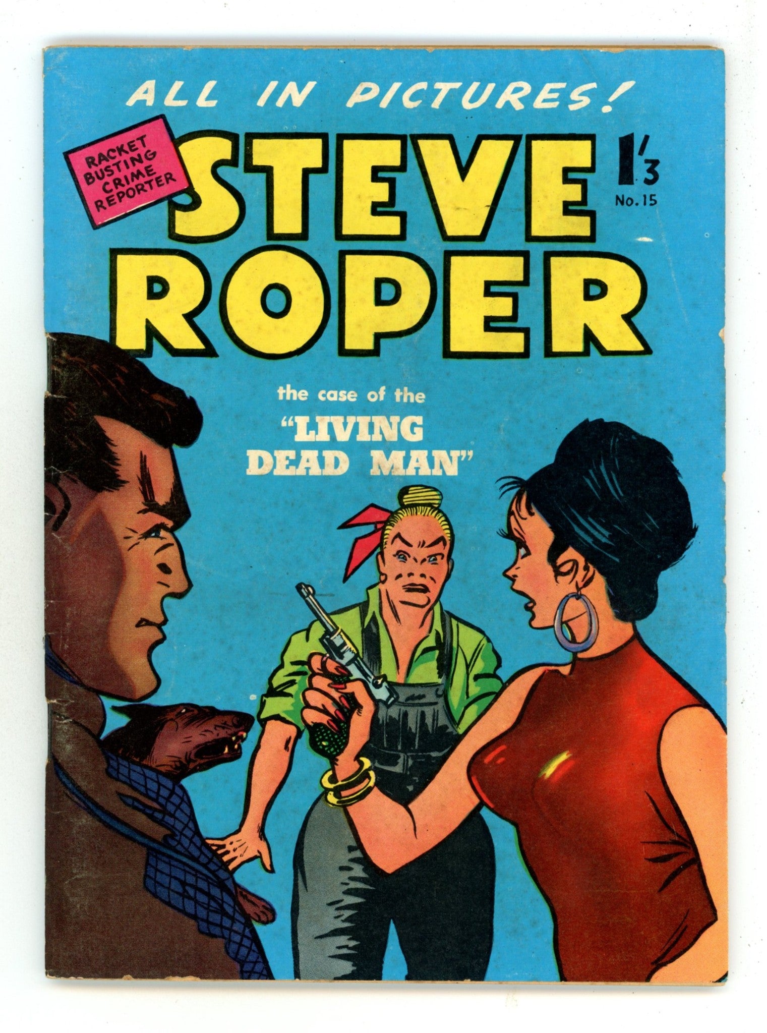 Steve Roper 15 VG/FN (5.0) (1960) 