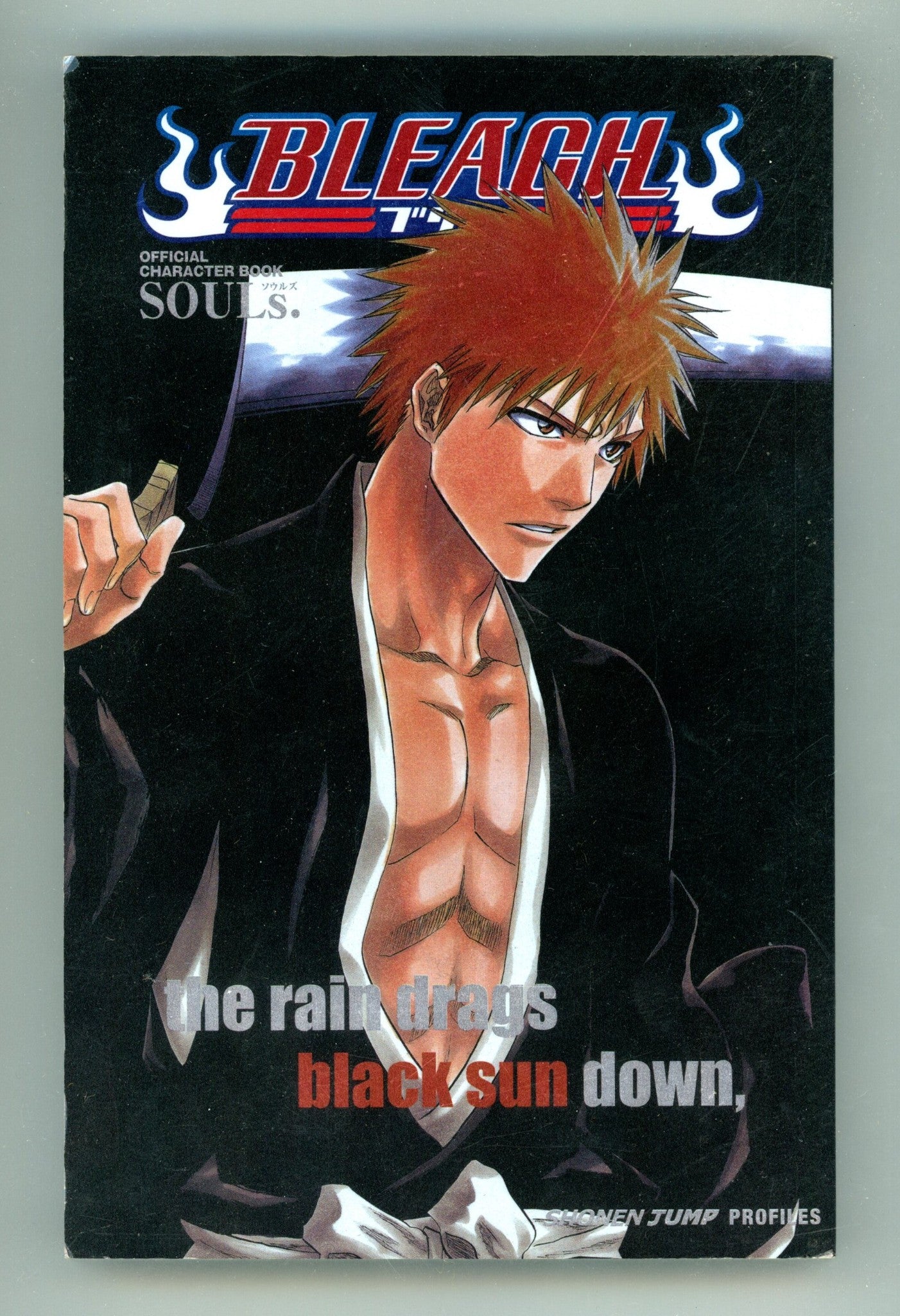 Bleach SOULs. Official Character Book Mid Grade TPB (2008) 