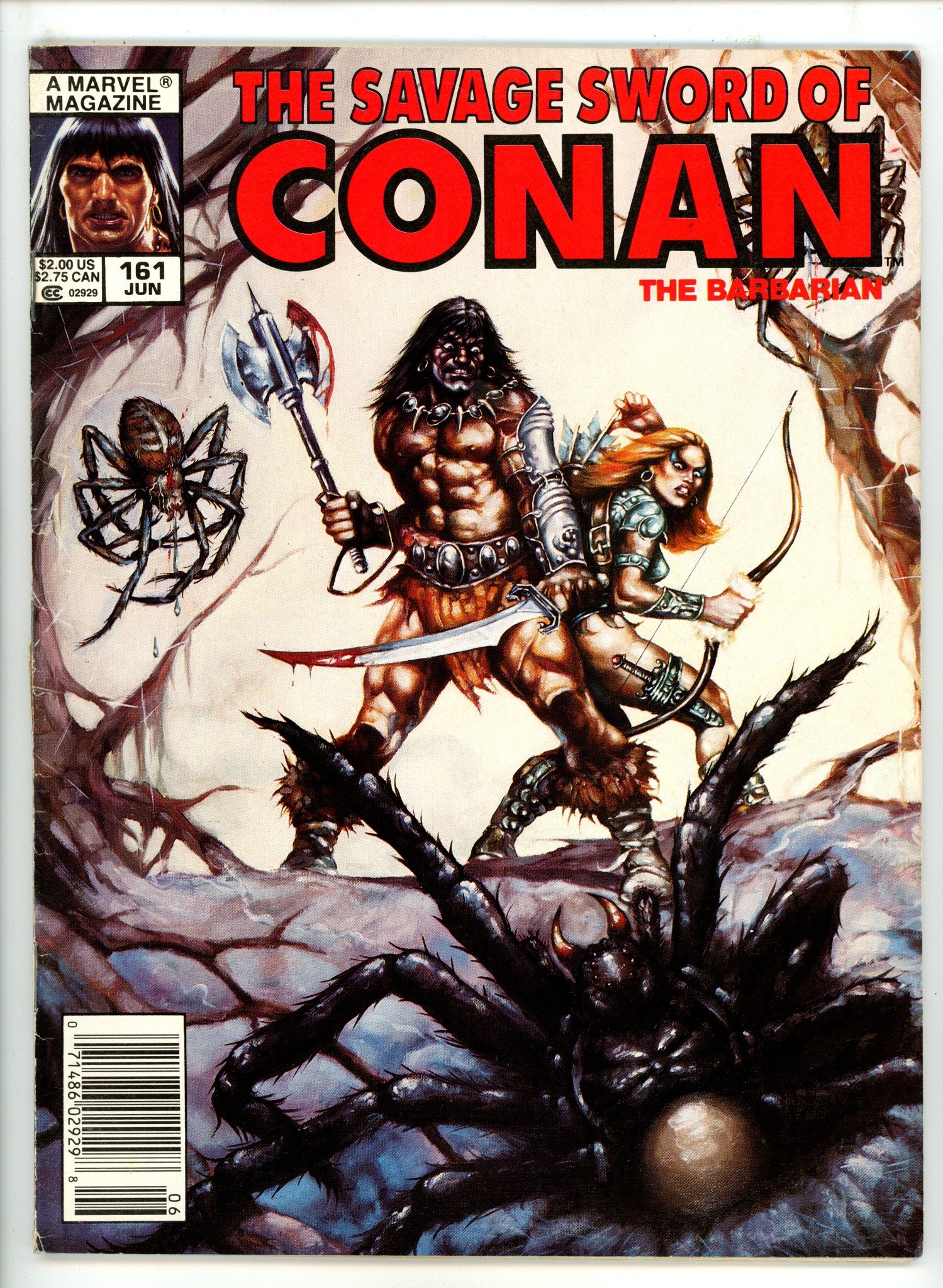 The Savage Sword of Conan Vol 1 161 Low Grade (1989) Newsstand 