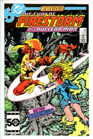 The Fury of Firestorm Vol 2 41 (1985)