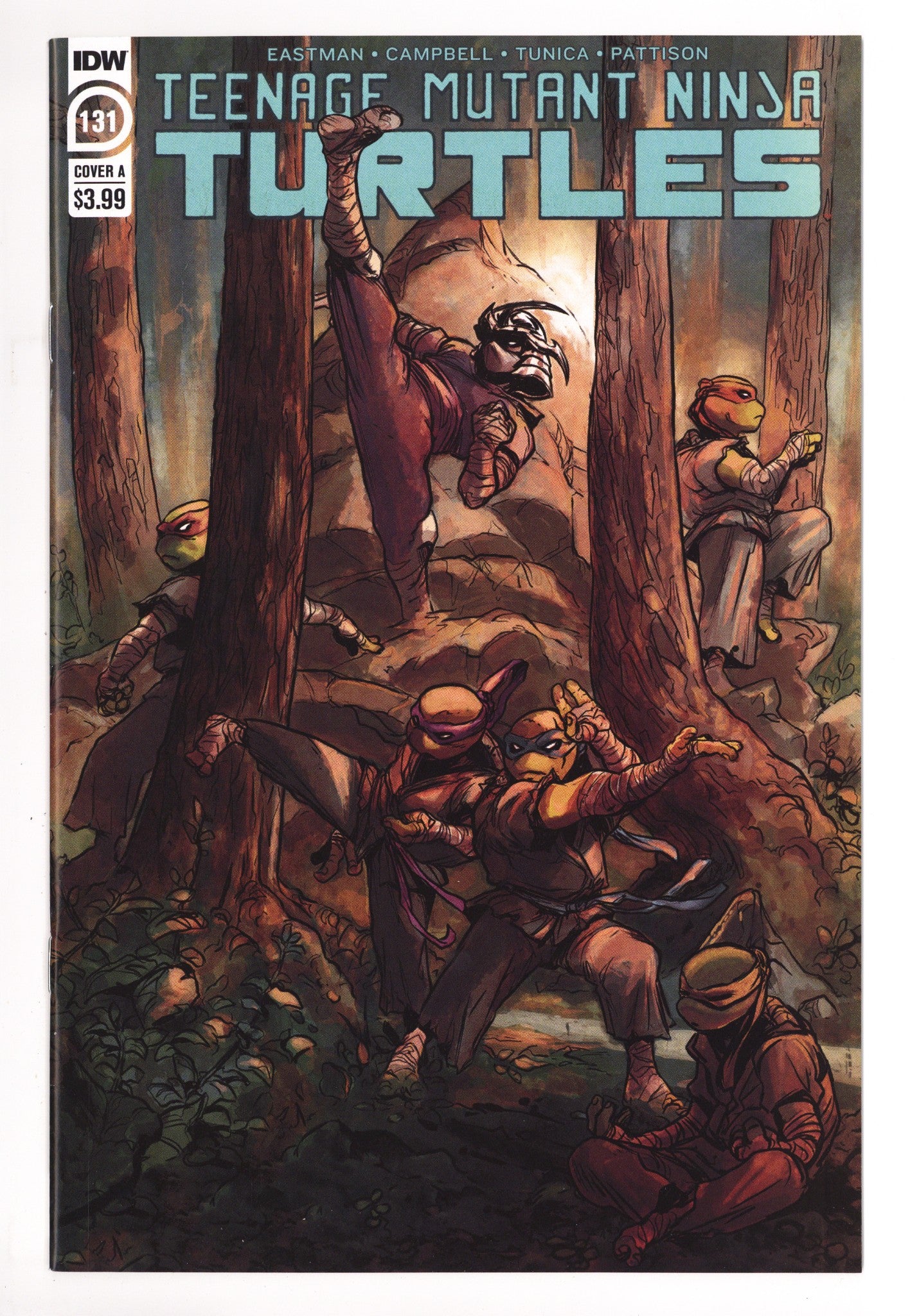 Teenage Mutant Ninja Turtles Vol 5 131  High Grade   (2022)        