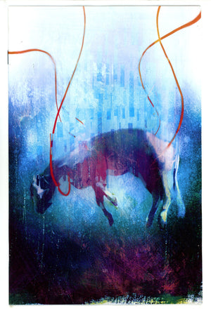 Hunt For The Skinwalker 2 Simmonds Incentive Variant NM- (2023)