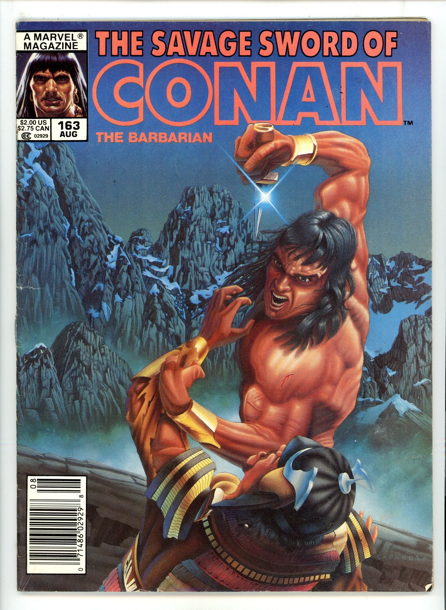 The Savage Sword of Conan Vol 1 163 Very Low Grade (1989) Newsstand 