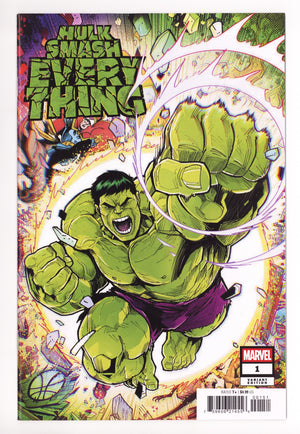 Hulk: Smash Everything 1 Vecchio Variant (2025)