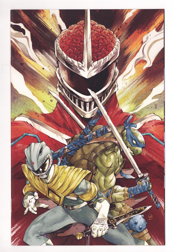 Mighty Morphin Power Rangers/Teenage Mutant Ninja Turtles III  4 Hill  Virgin Incentive NM   (2026)