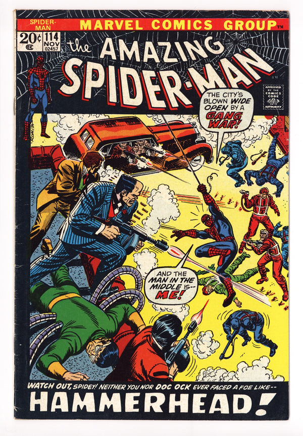 The Amazing Spider-Man Vol 1 114 FN- (5.5) (1972)
