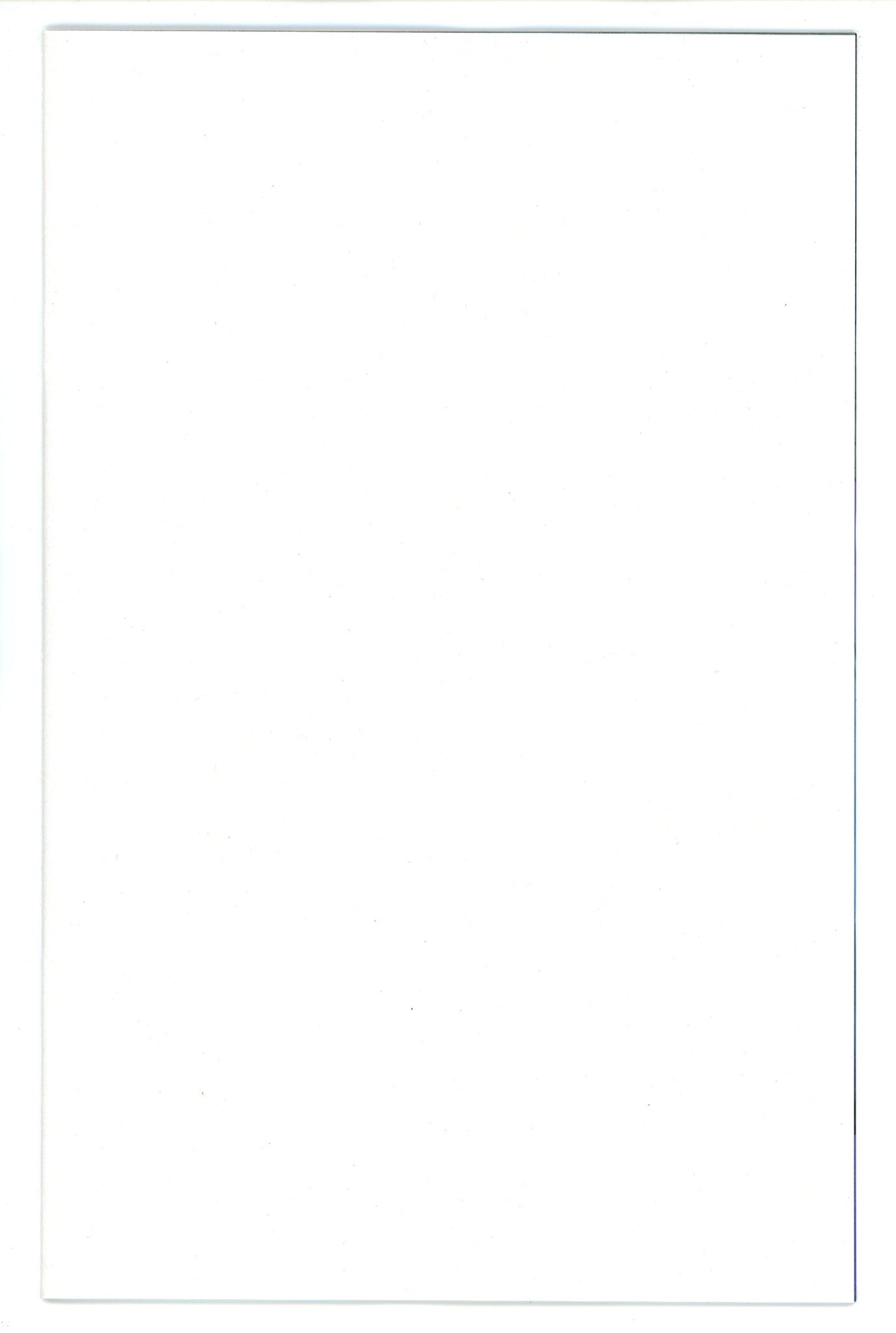 Gargoyles Quest 1 Stone-Grey Blank Variant (2024)