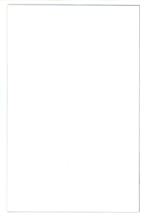 Gargoyles Quest 1 Stone-Grey Blank Variant (2024)