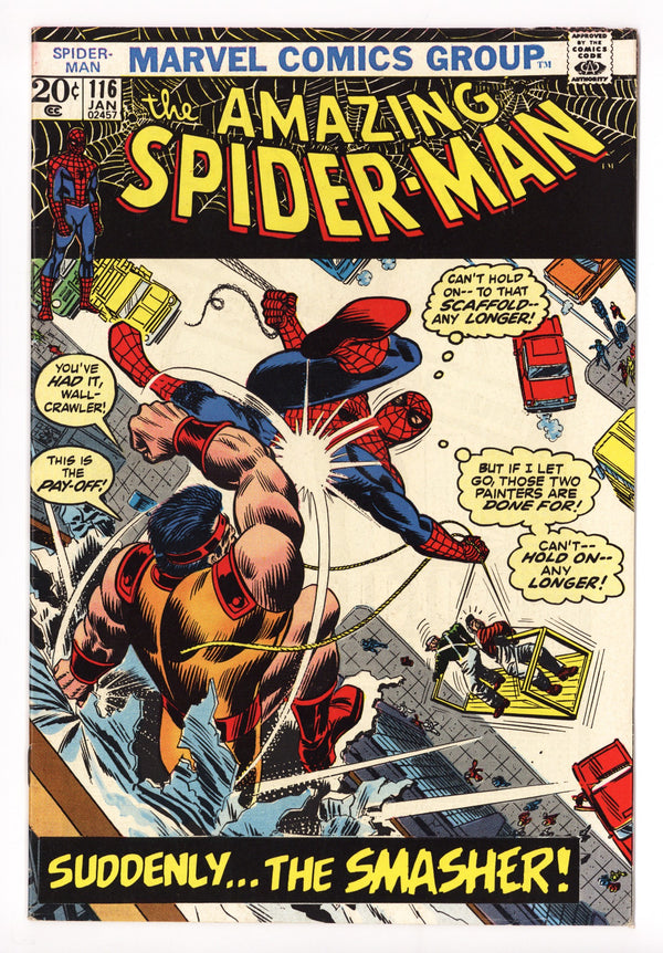 The Amazing Spider-Man Vol 1 116 FN+ (6.5) (1973)