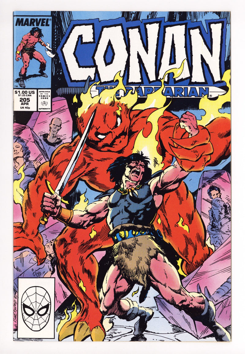 Conan the Barbarian Vol 1 205 High Grade (1988) 