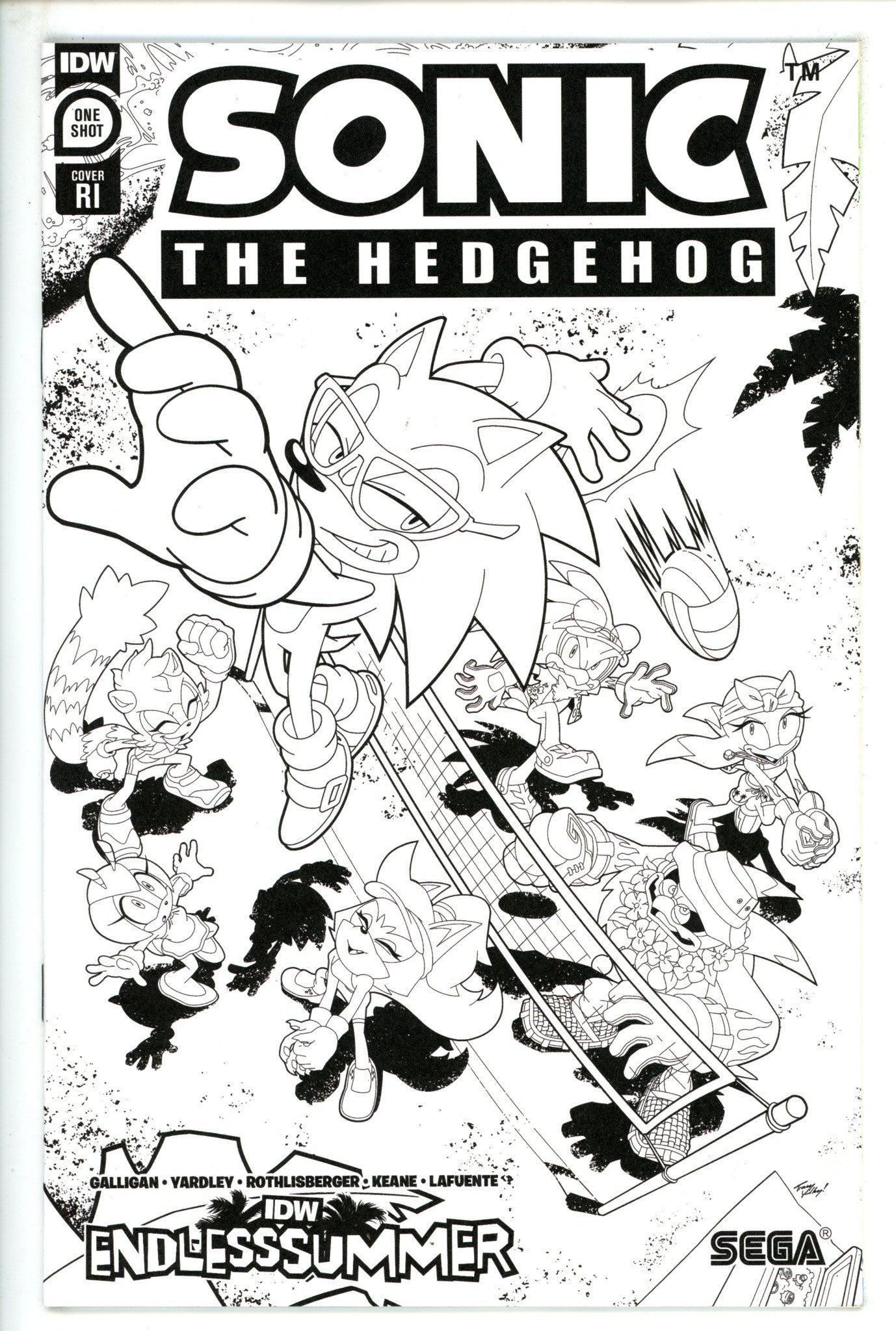 IDW Endless Summer Sonic The Hedgehog 1 Incentive Variant NM+ (2023)