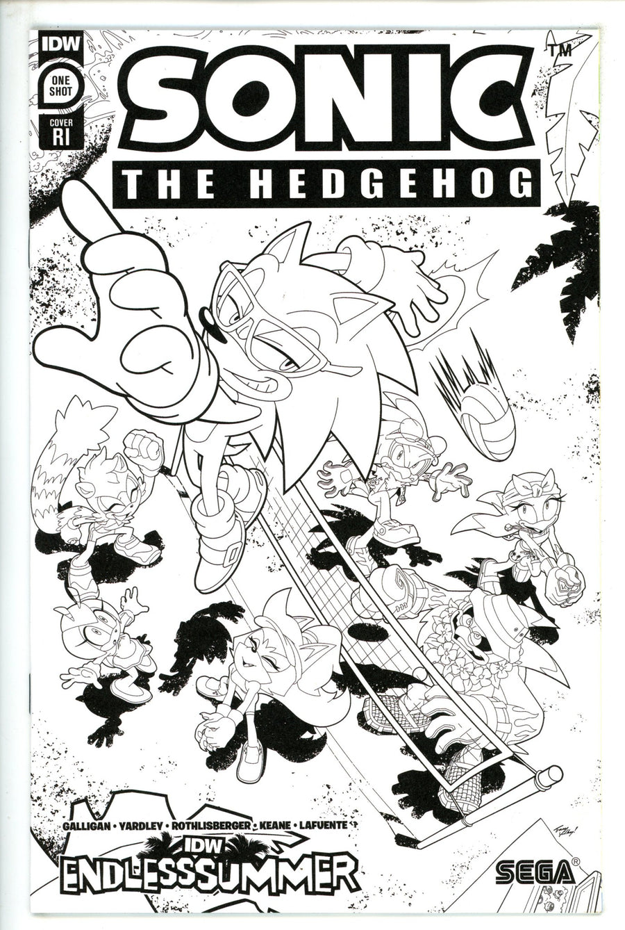 IDW Endless Summer Sonic The Hedgehog 1 Incentive Variant NM+ (2023)