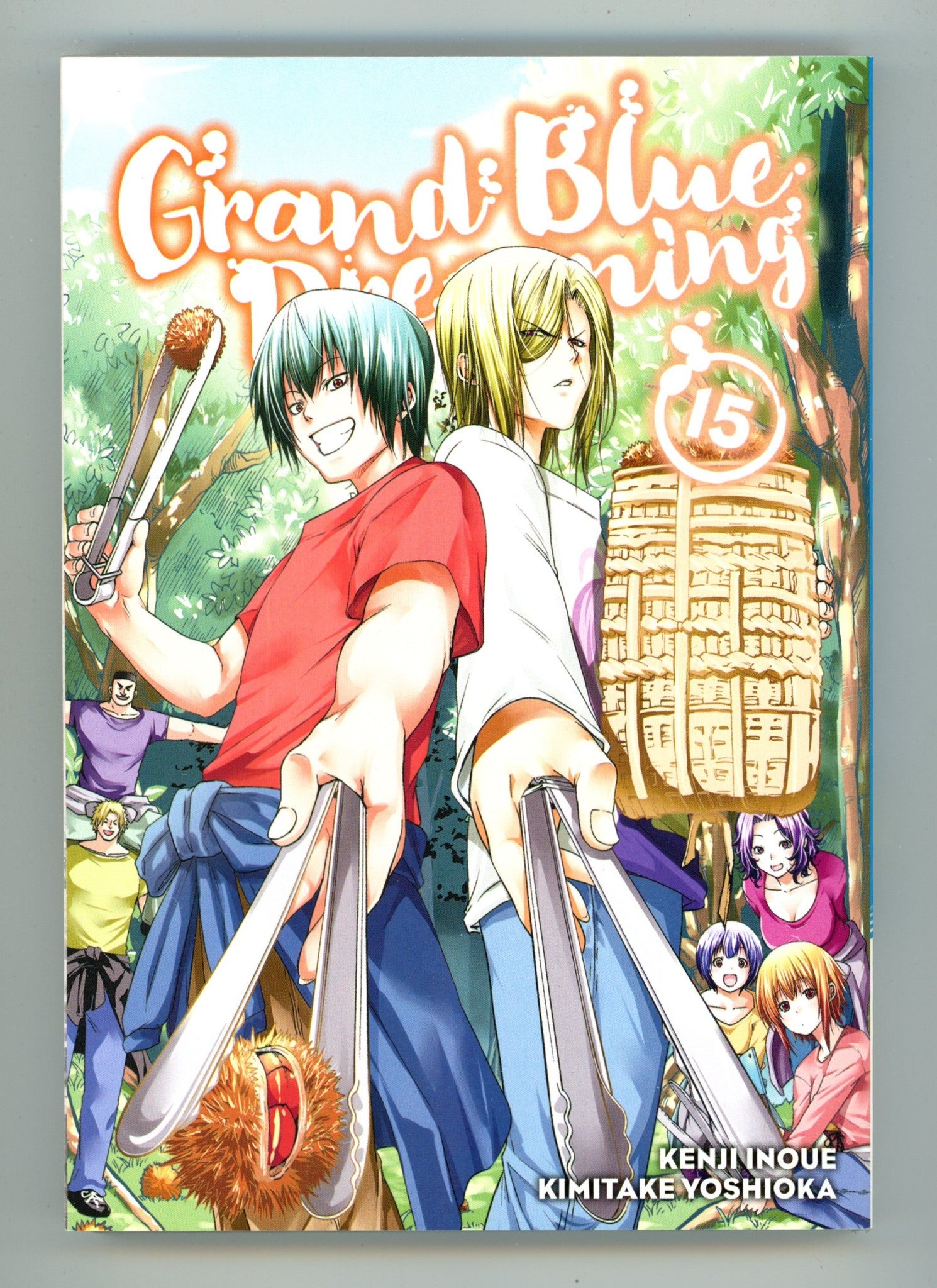 Grand Blue Dreaming Vol 15 High Grade TPB (2022) 