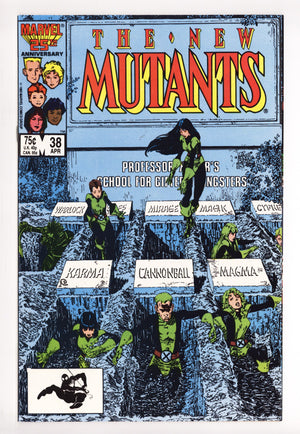 Micronauts Vol 1 37 High Grade (1982)
