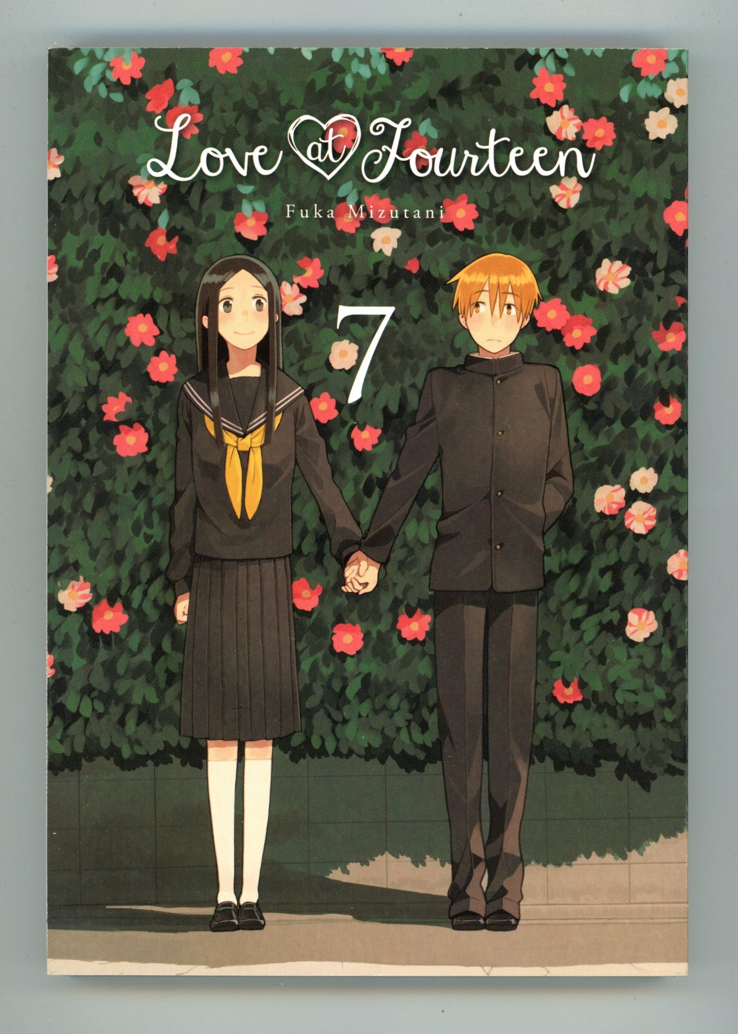 Love at Fourteen Vol 7 High Grade TPB (2018) 