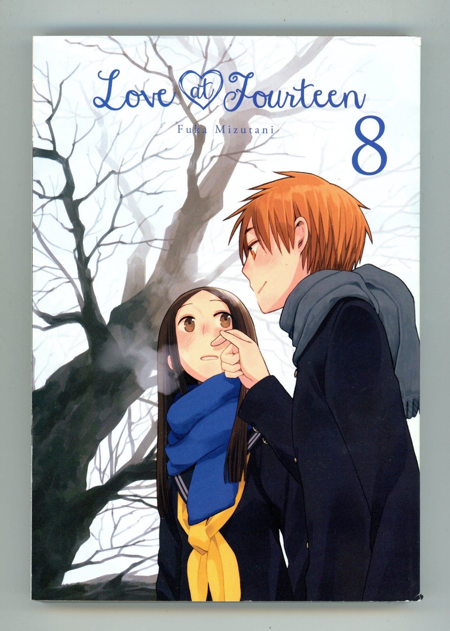 Love at Fourteen Vol 8 High Grade TPB (2018) 