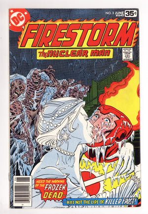 Firestorm Vol 1 3 FN/VF (7.0) (1978)