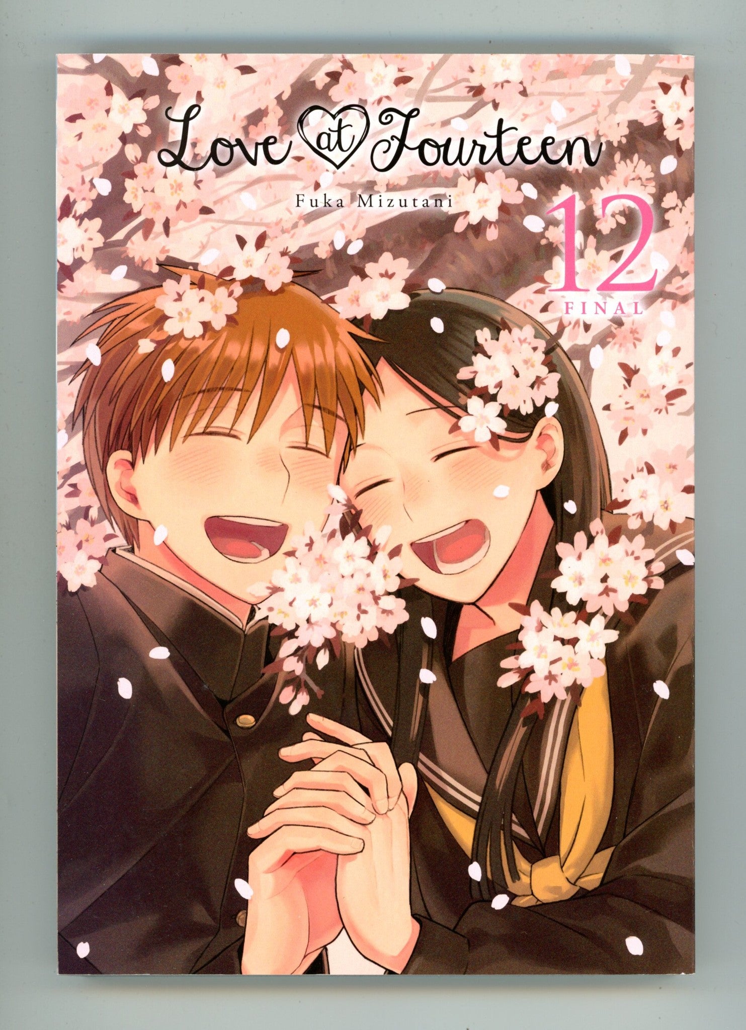 Love at Fourteen Vol 12 High Grade TPB (2022) 