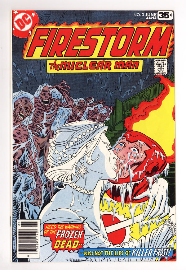 Firestorm Vol 1 3 VF (8.0) (1978)