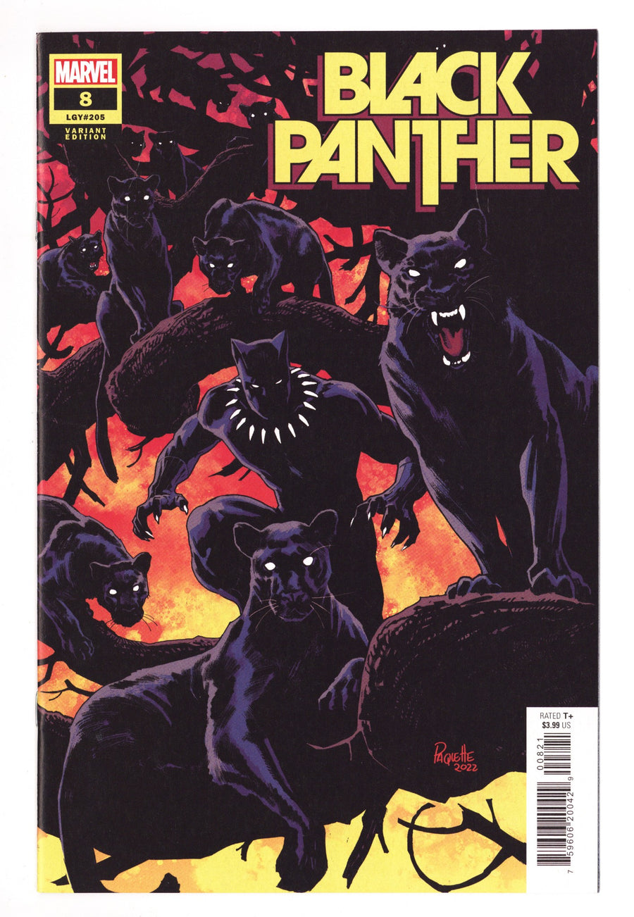 Black Panther Vol 8 8 (205) High Grade (2022) Paquette Variant 