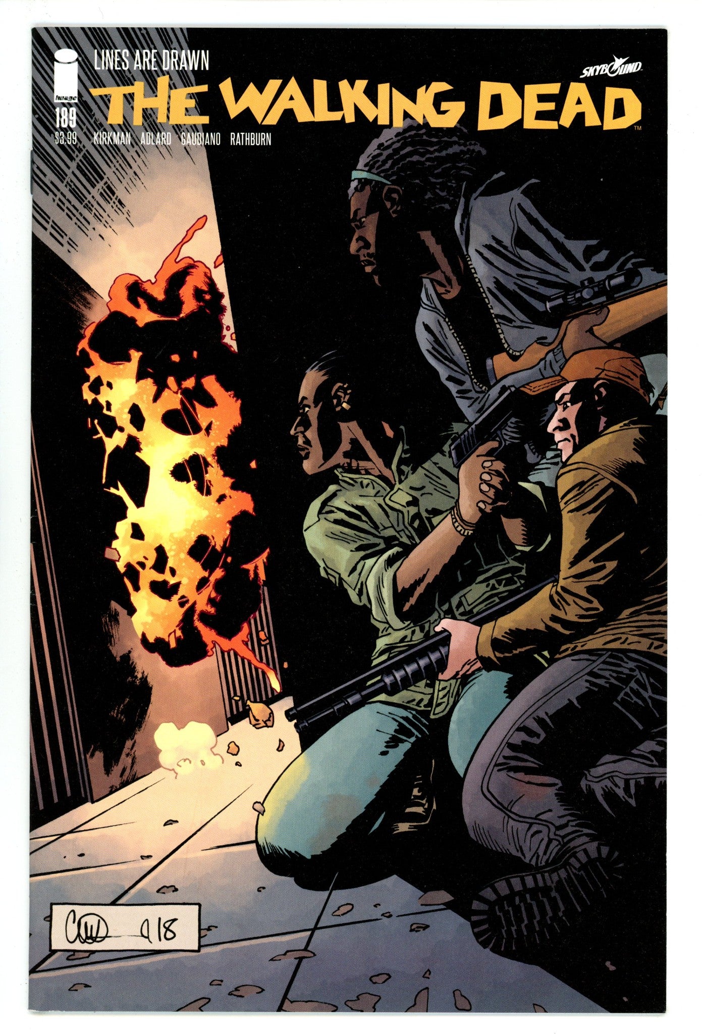 The Walking Dead 189 High Grade (2019) 