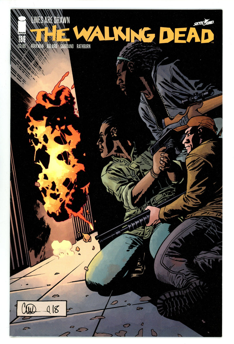 The Walking Dead 189 High Grade (2019) 