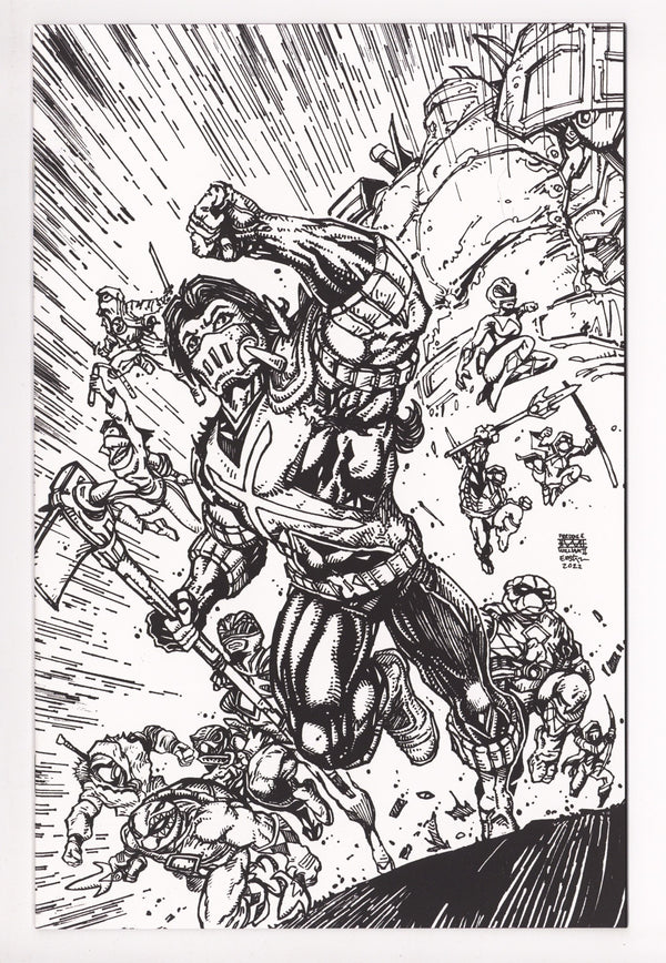 Mighty Morphin Power Rangers / Teenage Mutant Ninja Turtles II 4 High Grade (2023) Eastman B&W Virgin Variant