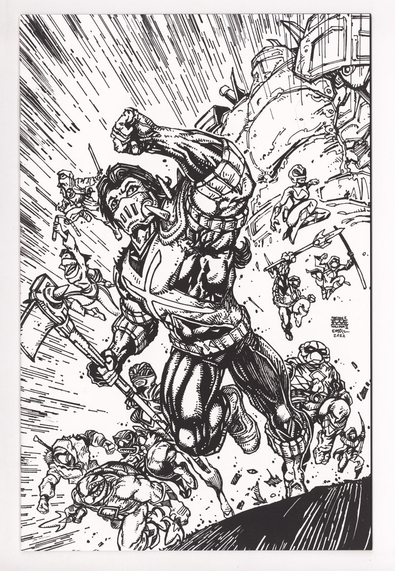 Mighty Morphin Power Rangers / Teenage Mutant Ninja Turtles II 4 High Grade (2023) Eastman B&W Virgin Variant 