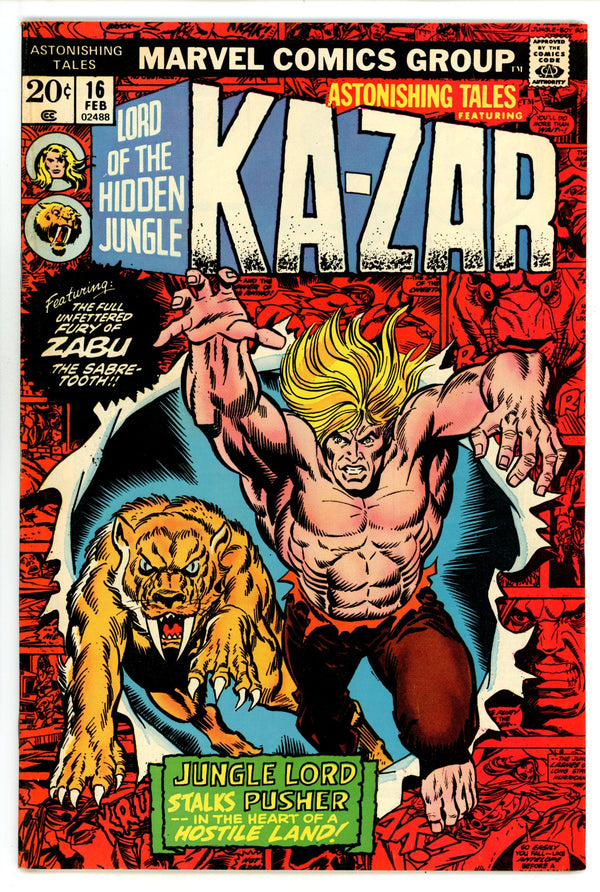 Astonishing Tales Vol 1 16 FN+ (6.5) (1973)