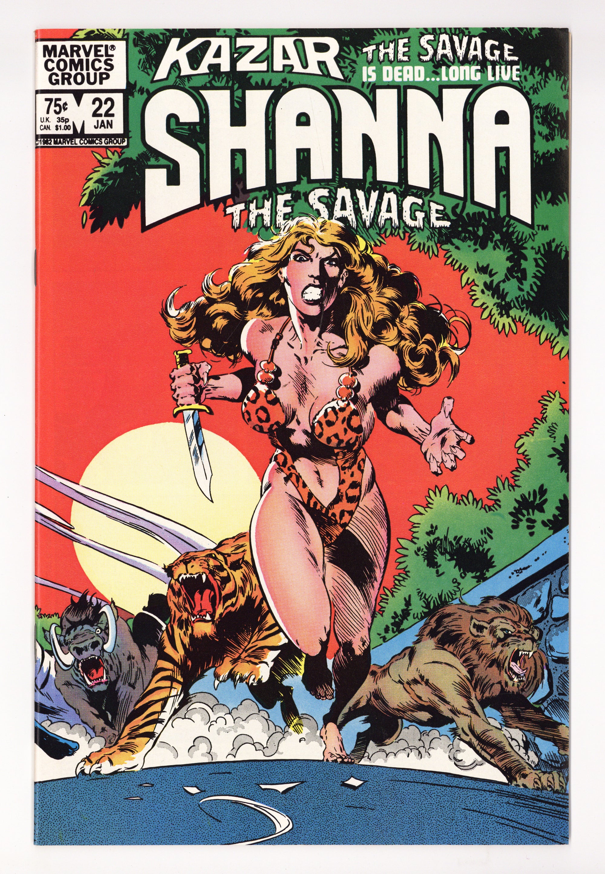 Ka-Zar the Savage Vol 3 22 High Grade (1982) 