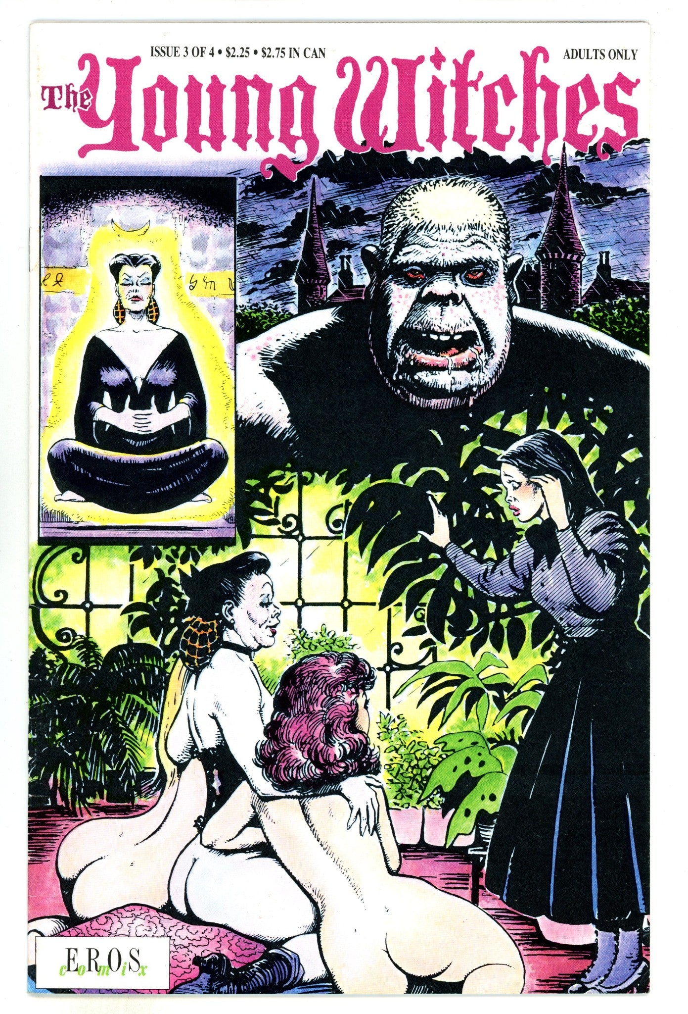 The Young Witches 3 FN- (5.5) (1991) 