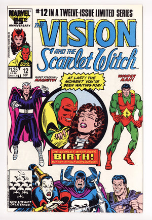 The Vision and the Scarlet Witch Vol 2 12 VF/NM (9.0) (1986)