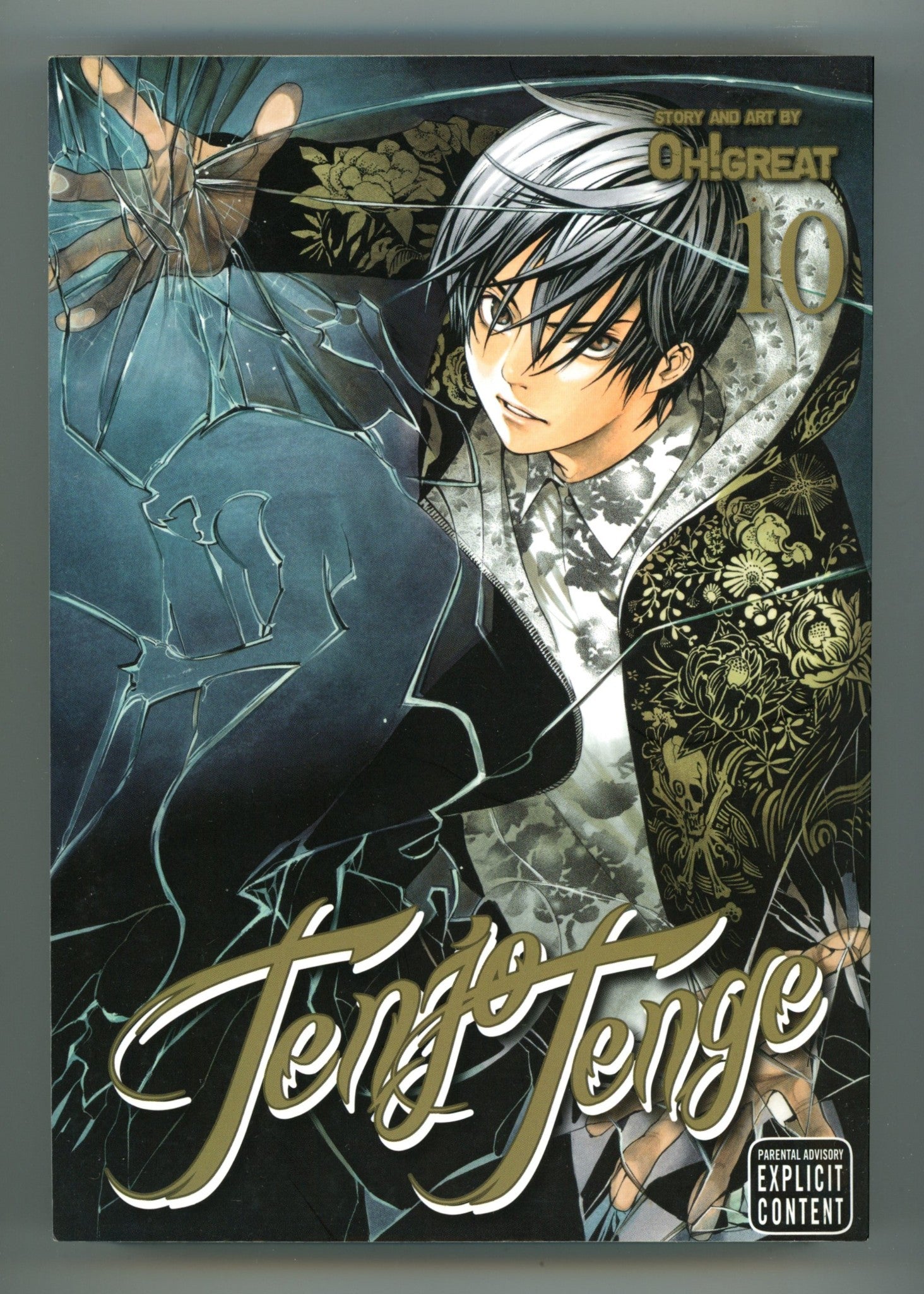 Tenjo Tenge Full Contact Edition 2-in-1 Vol 10 High Grade TPB (2012)