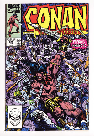 Conan the Barbarian Vol 1 229 High Grade (1990)