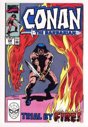 Conan the Barbarian Vol 1 230 High Grade (1990)
