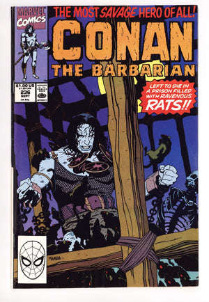 Conan the Barbarian Vol 1 236 High Grade (1990)