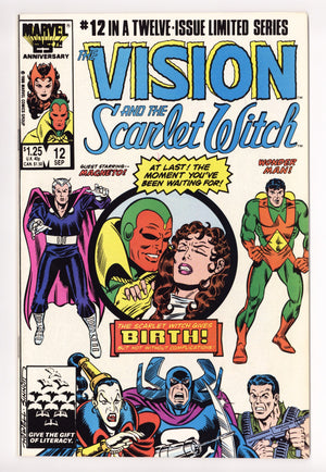 The Vision and the Scarlet Witch Vol 2 12 VF- (7.5) (1986) 