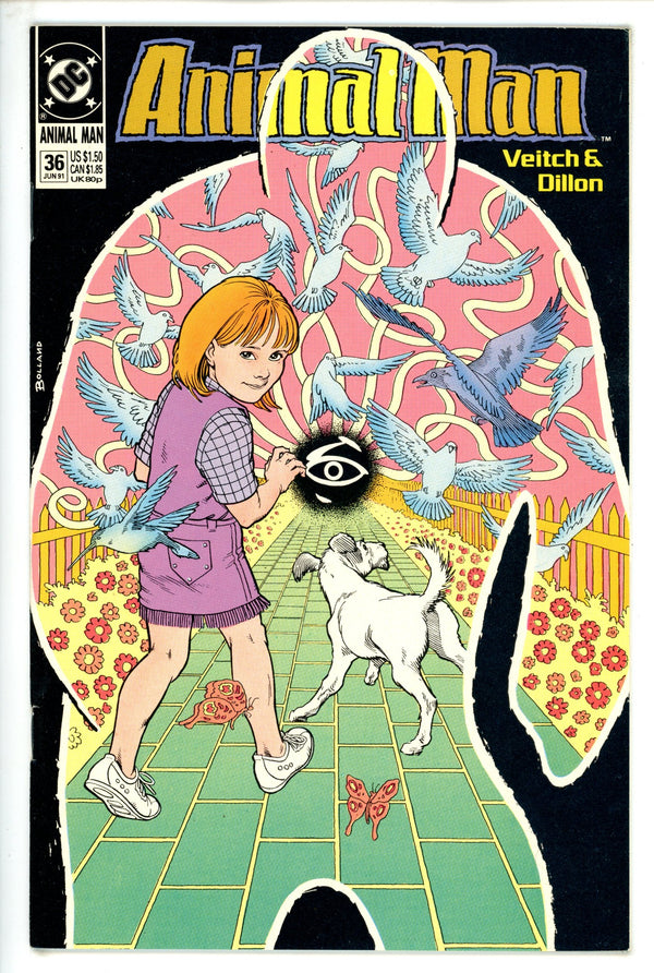 Animal Man Vol 1 36 (1991)