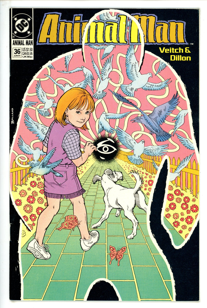 Animal Man Vol 1 36 (1991)