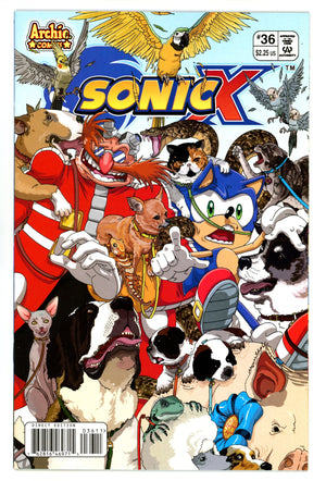 Sonic X 36 VF (8.0) (2008)