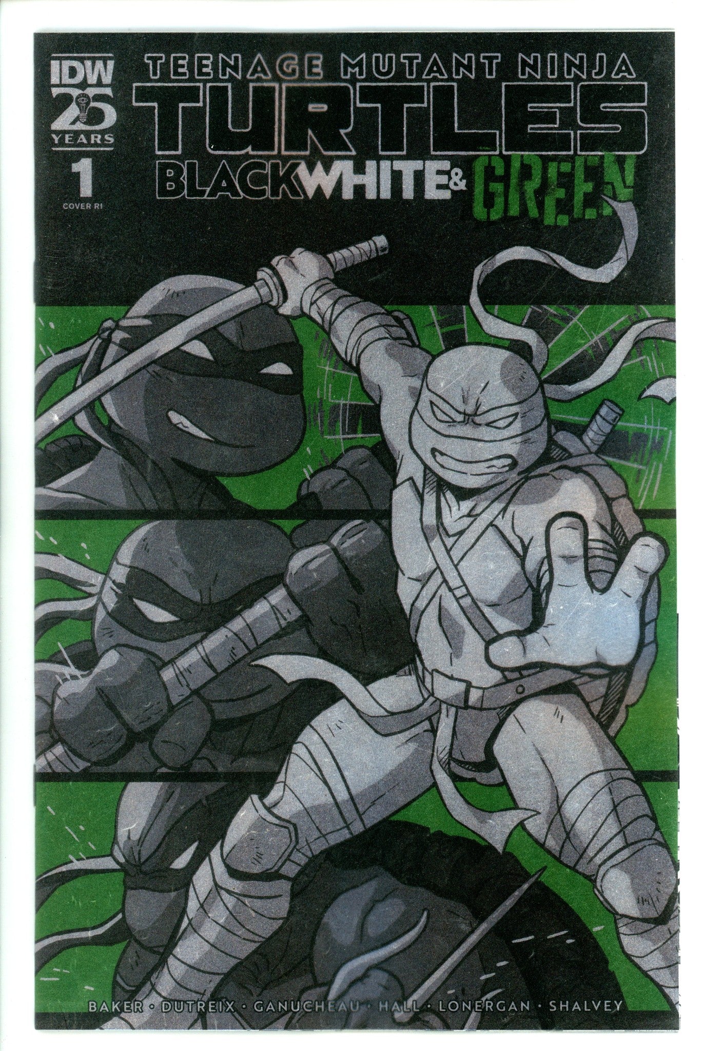 Teenage Mutant Ninja Turtles: Black White, And Green  1 Ganucheau  Foil Incentive Variant NM+  (2024)