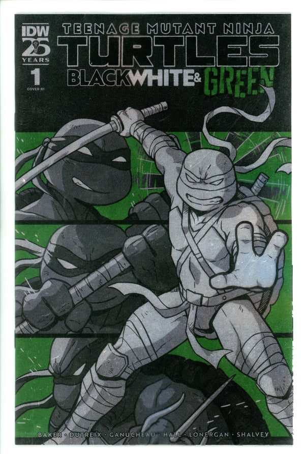 Teenage Mutant Ninja Turtles: Black White, And Green 1 Ganucheau Foil Incentive Variant NM+ (2024)